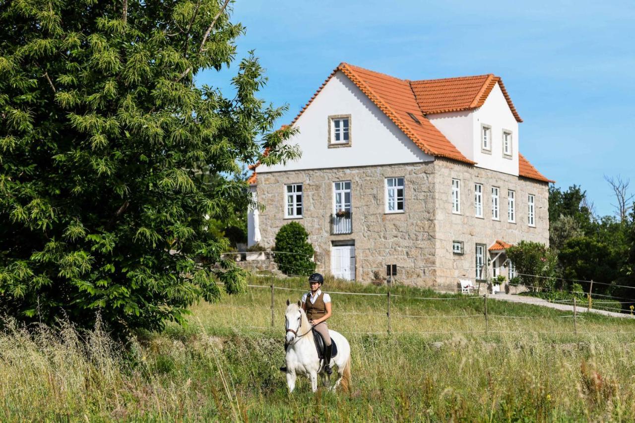 Quinta Lusitania Pensionat Santa Comba Dao Eksteriør billede